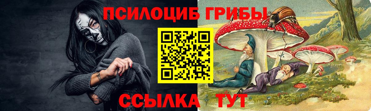 Псилоцибиновые грибы Magic Shrooms Кубинка